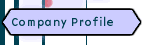 Company Profile